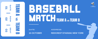 Baseball Match Ticket